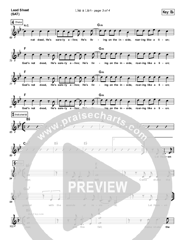 Like A Lion Lead Sheet (Daniel Bashta)