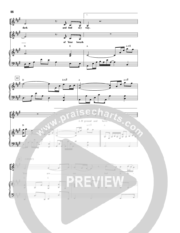 You Are My Hallelujah Piano/Vocal (Rita Springer)