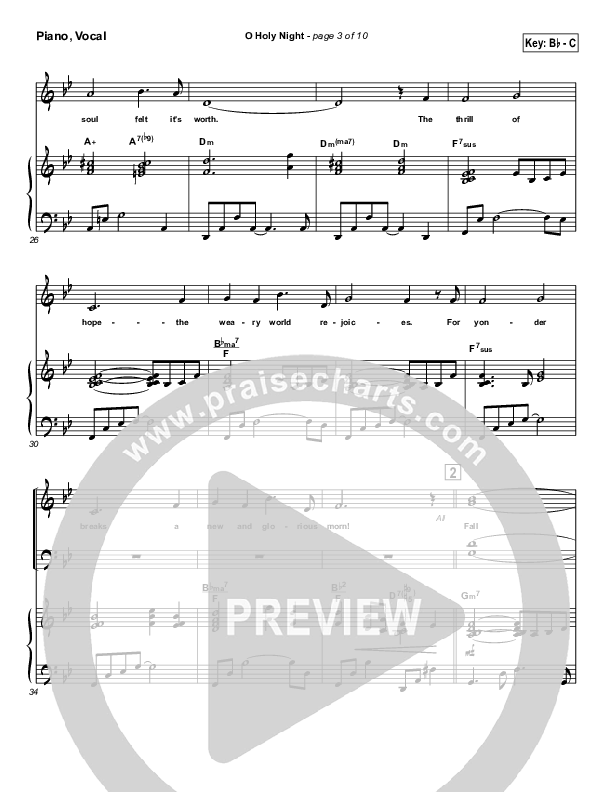 Dan Galbraith 'O Holy Night' Sheet Music & Chords  Printable Lead Sheet /  Fake Boo PDF Notes 