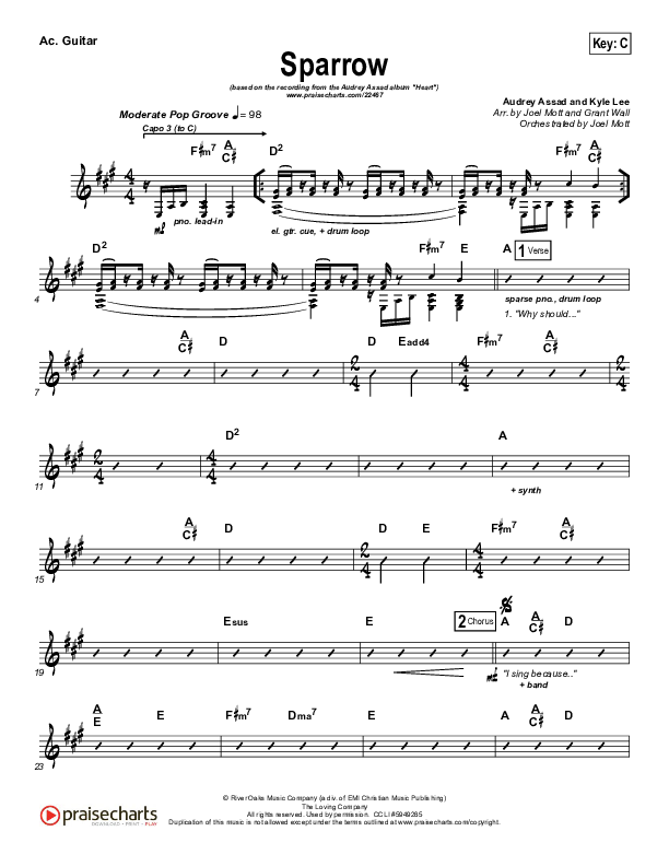 Sparrow Acoustic Guitar (Audrey Assad)