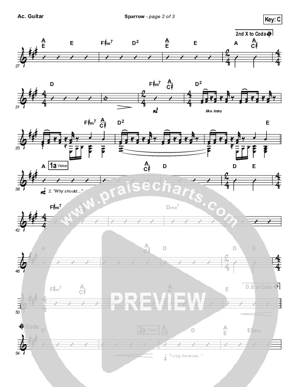 Sparrow Acoustic Guitar (Audrey Assad)