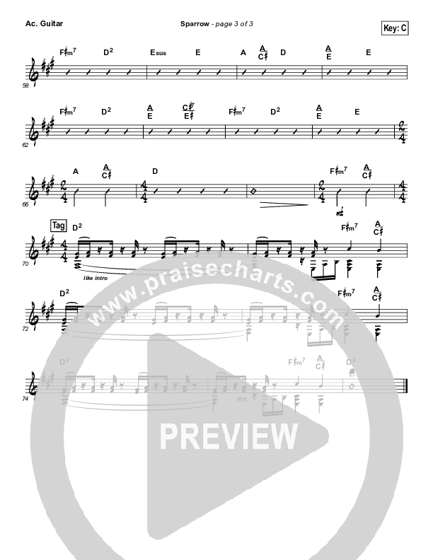 Sparrow Acoustic Guitar (Audrey Assad)