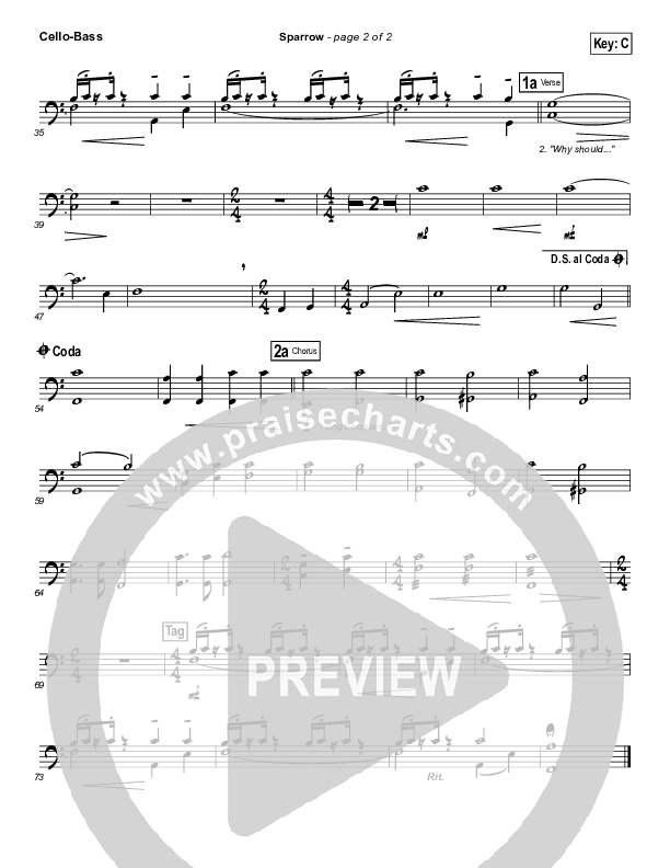 Sparrow Cello/Bass (Audrey Assad)