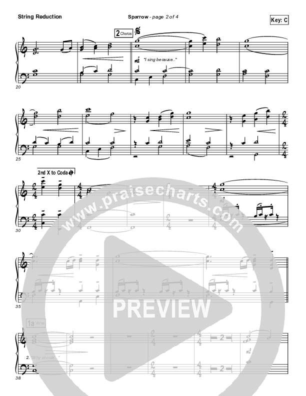 Sparrow Synth Strings (Audrey Assad)