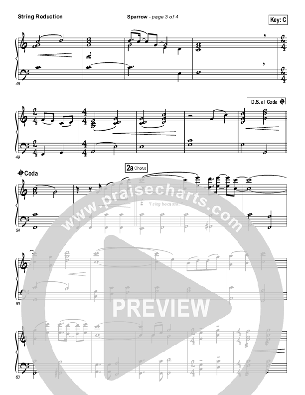 Sparrow Synth Strings (Audrey Assad)