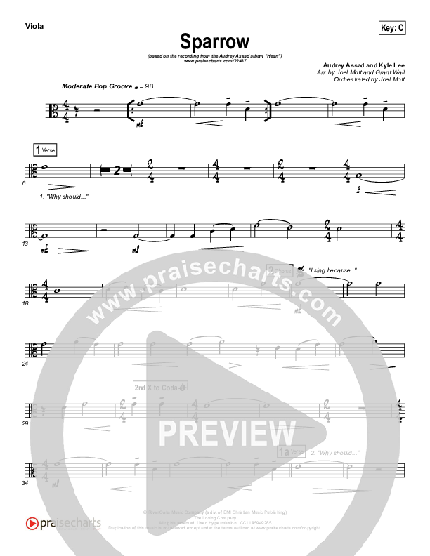 Sparrow Viola (Audrey Assad)