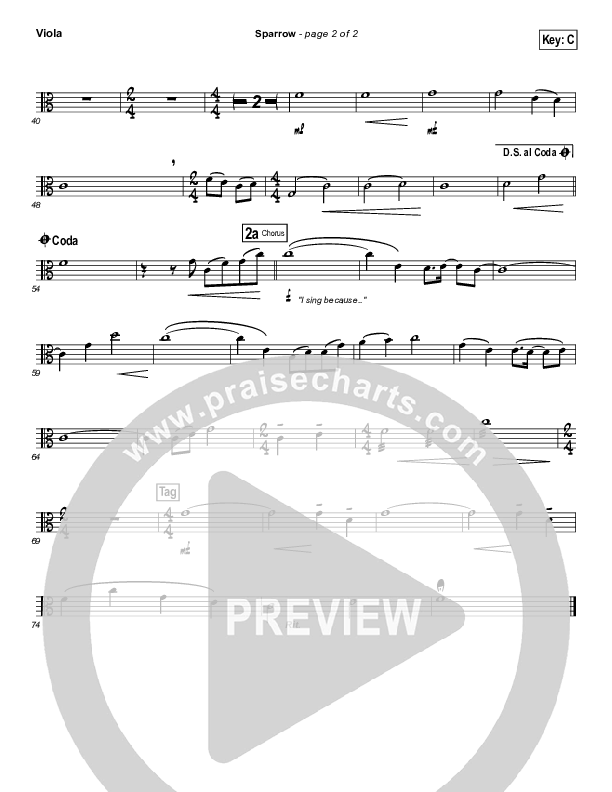 Sparrow Viola (Audrey Assad)