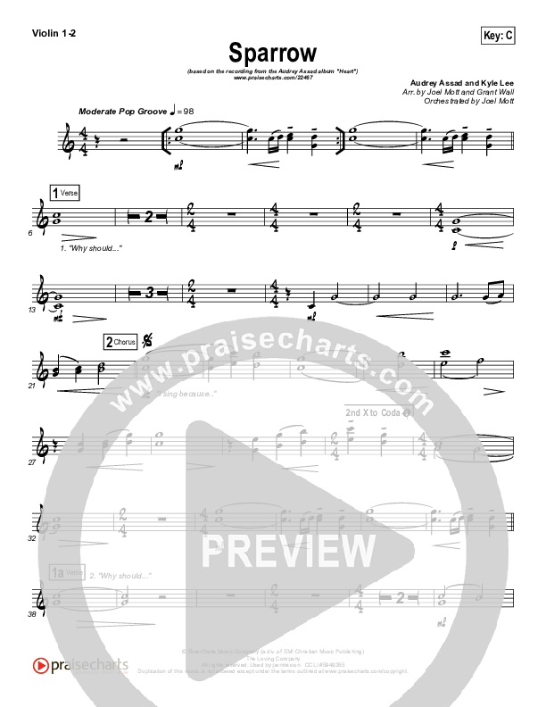 Sparrow Violin 1/2 (Audrey Assad)