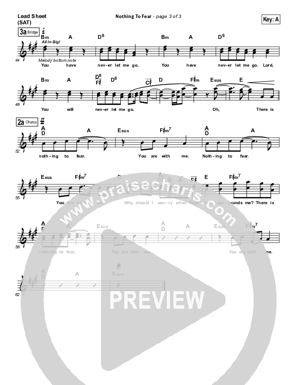 Nothing To Fear Lead Sheet (Andy Cherry)