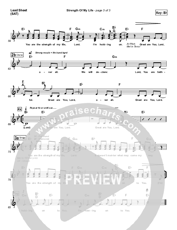 Strength Of My Life Lead Sheet (SAT) (Planetshakers)