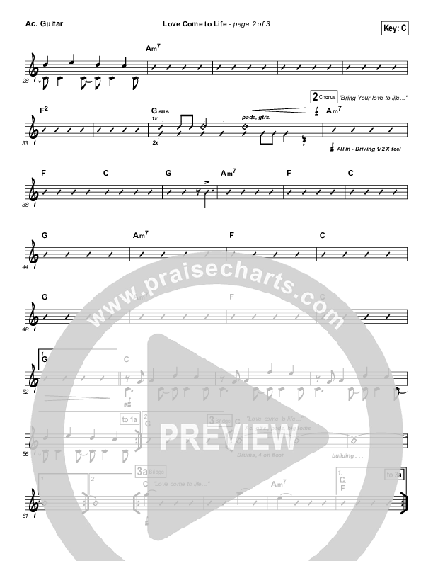 Love Come To Life Acoustic Guitar (Big Daddy Weave)