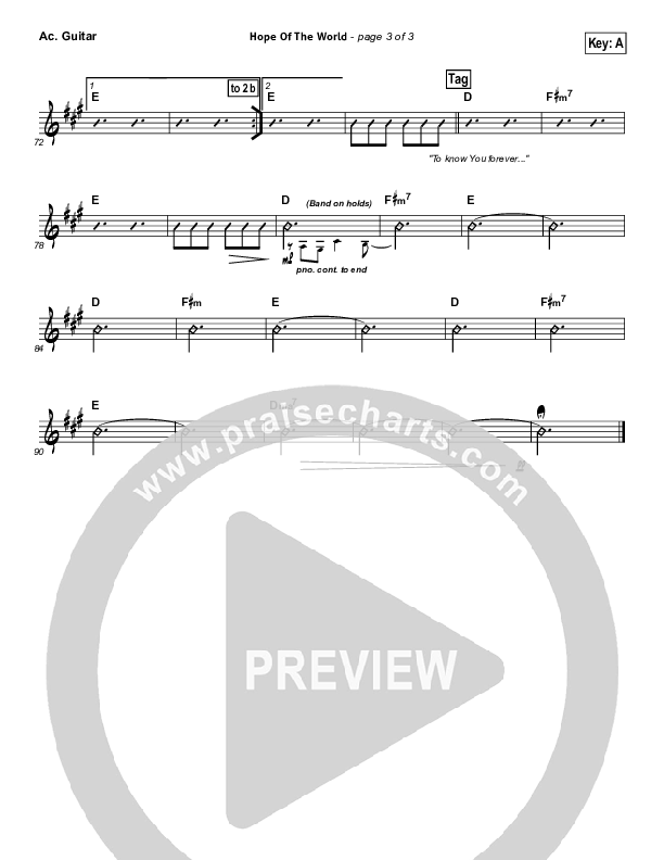 Hope Of The World Acoustic Guitar (Hillsong Worship)