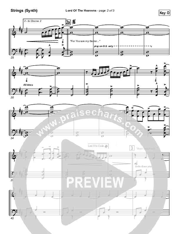 Lord Of The Heavens Synth Strings (Parachute Band)