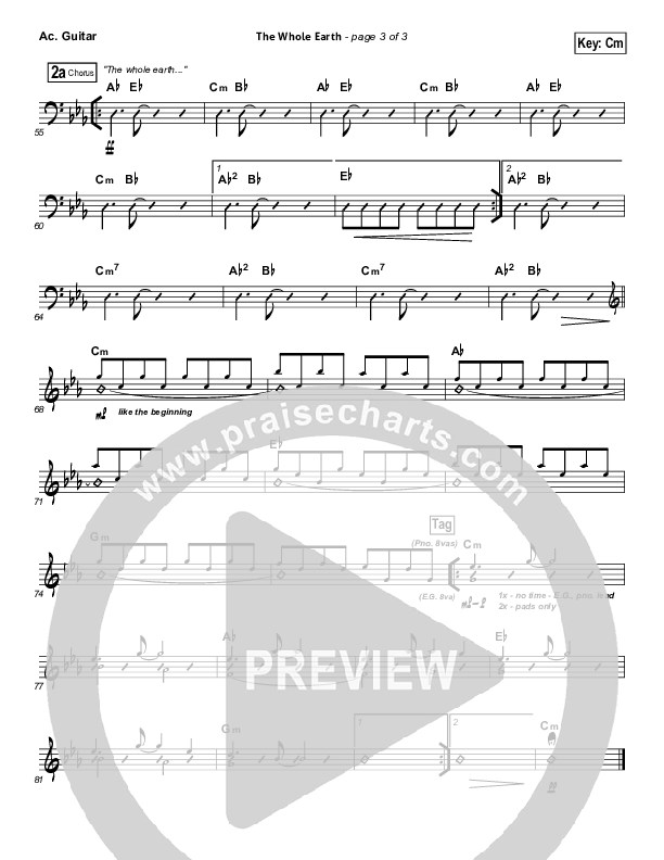 The Whole Earth Acoustic Guitar (Gateway Worship)