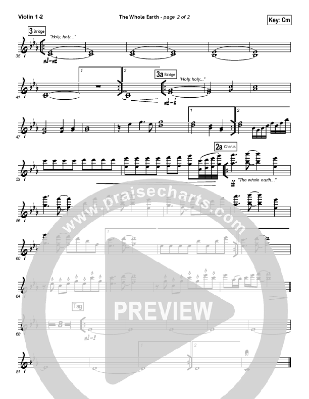 The Whole Earth Violin 1/2 (Gateway Worship)