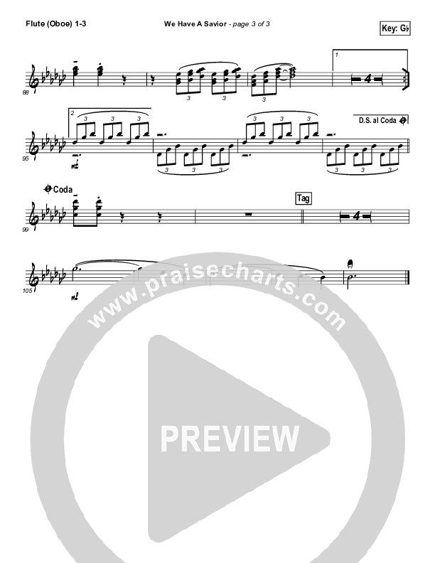 We Have A Savior Wind Pack (Hillsong Worship)