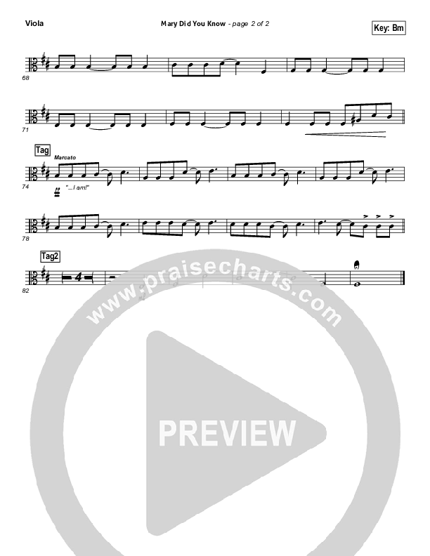 Mary Did You Know Viola (Jeremy Camp)