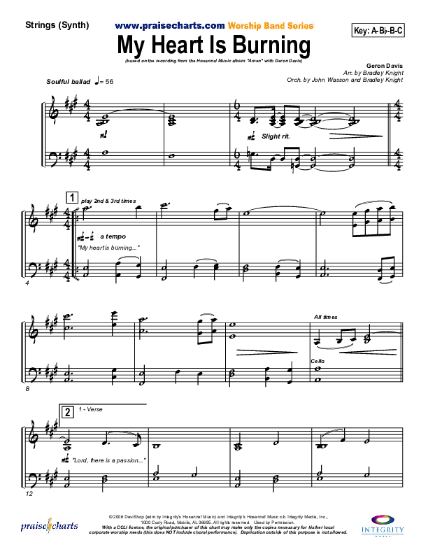 My Heart Is Burning Synth Strings (Geron Davis)