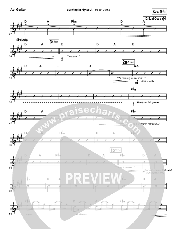 Burning In My Soul Acoustic Guitar (Passion / Brett Younker)