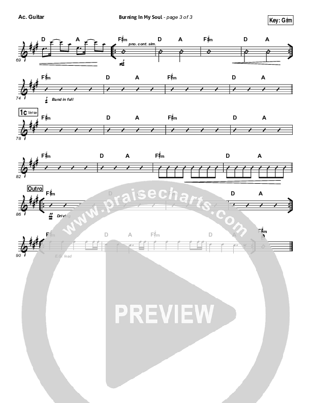 Burning In My Soul Acoustic Guitar (Passion / Brett Younker)