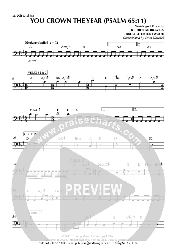 You Crown The Year Bass Guitar (Hillsong Worship)