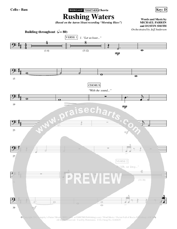 Rushing Waters Cello/Bass (Aaron Shust)