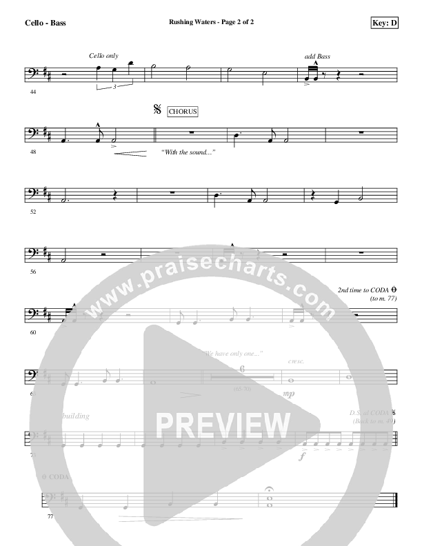 Rushing Waters Cello/Bass (Aaron Shust)