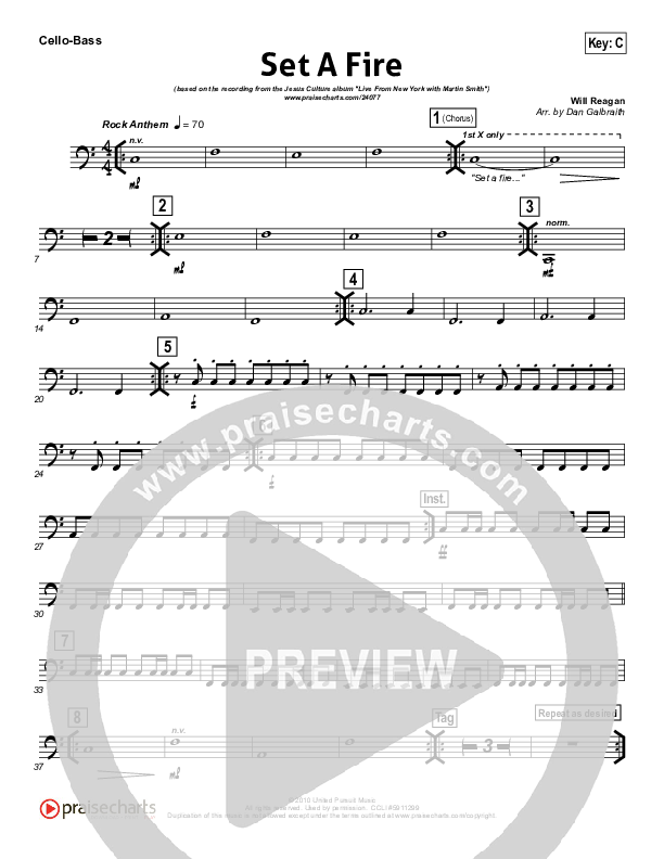 Set A Fire Cello/Bass (Martin Smith / Jesus Culture)