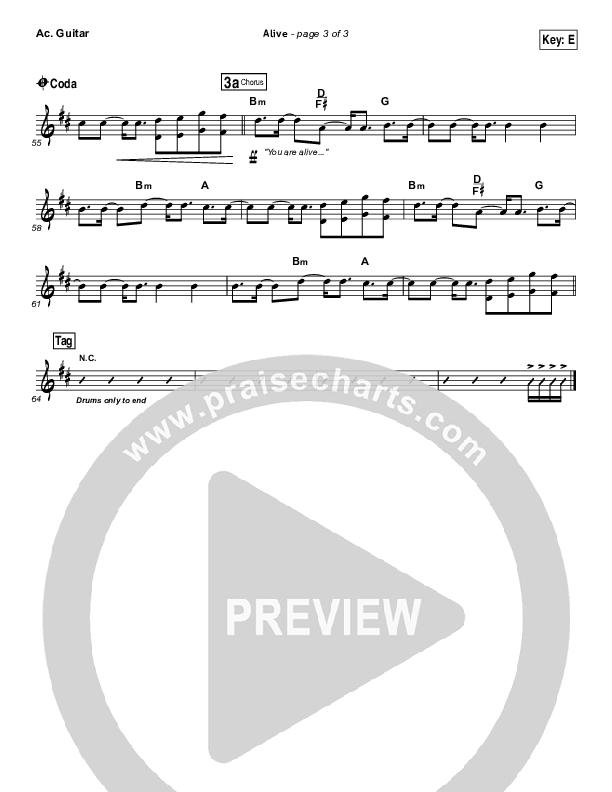 Alive Acoustic Guitar (Hillsong Young & Free)