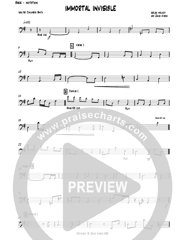 Immortal Invisible Bass Guitar (David Ayers)