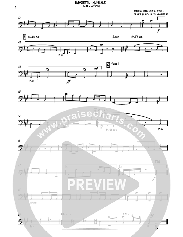 Immortal Invisible Bass Guitar (David Ayers)