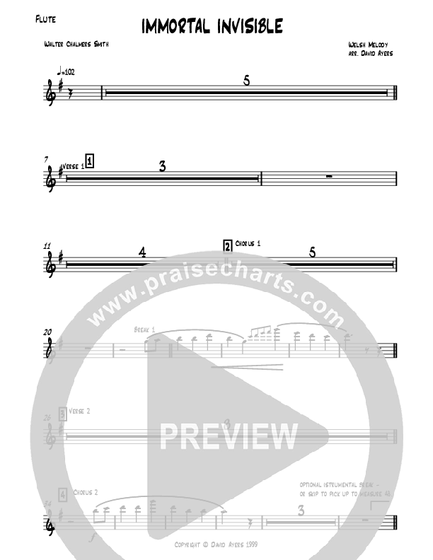 Immortal Invisible Flute (David Ayers)