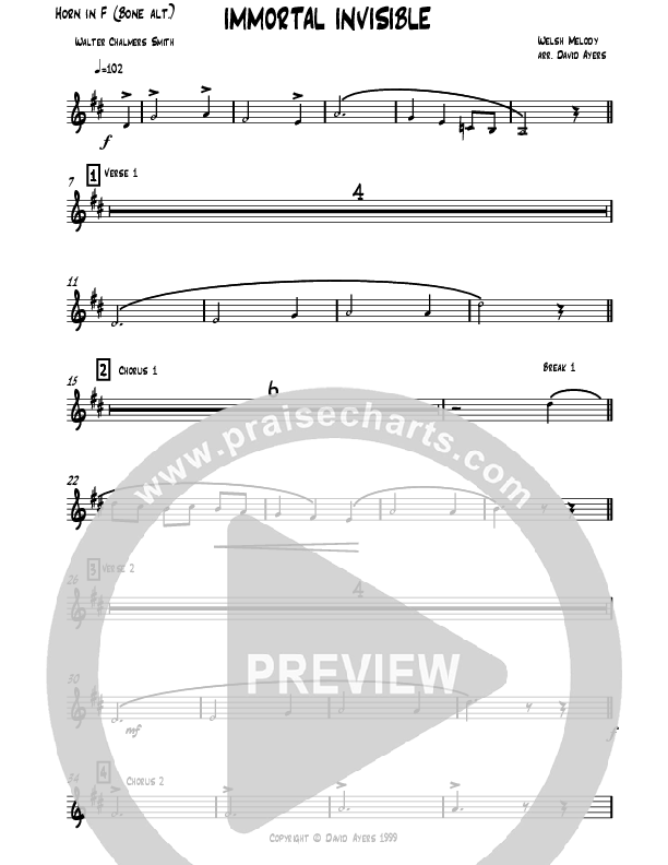 Immortal Invisible French Horn (David Ayers)