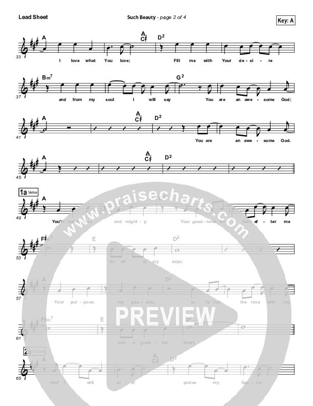 Such Beauty Lead (SAT) (Kelly Grayson)