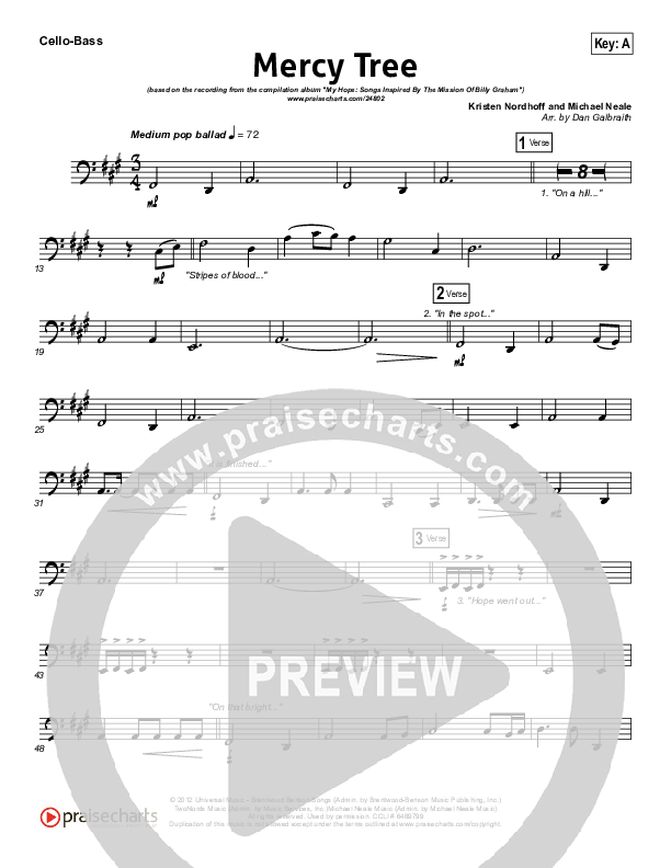 Mercy Tree Cello/Bass (Lacey Sturm)