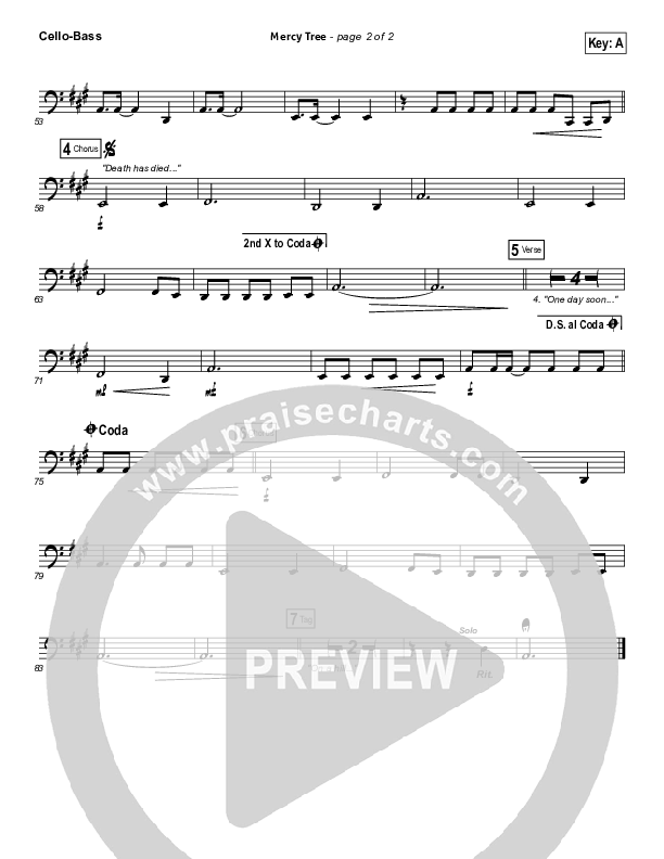 Mercy Tree Cello/Bass (Lacey Sturm)