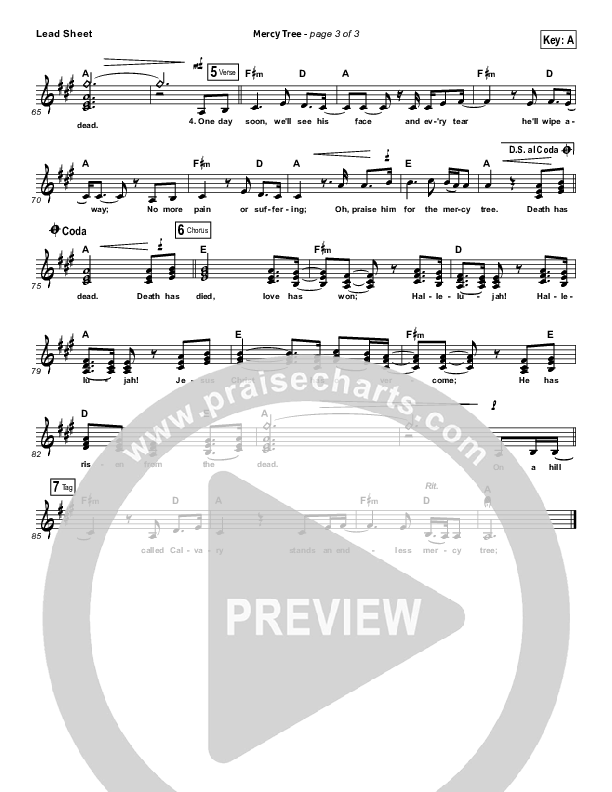 Mercy Tree Lead Sheet (Lacey Sturm)