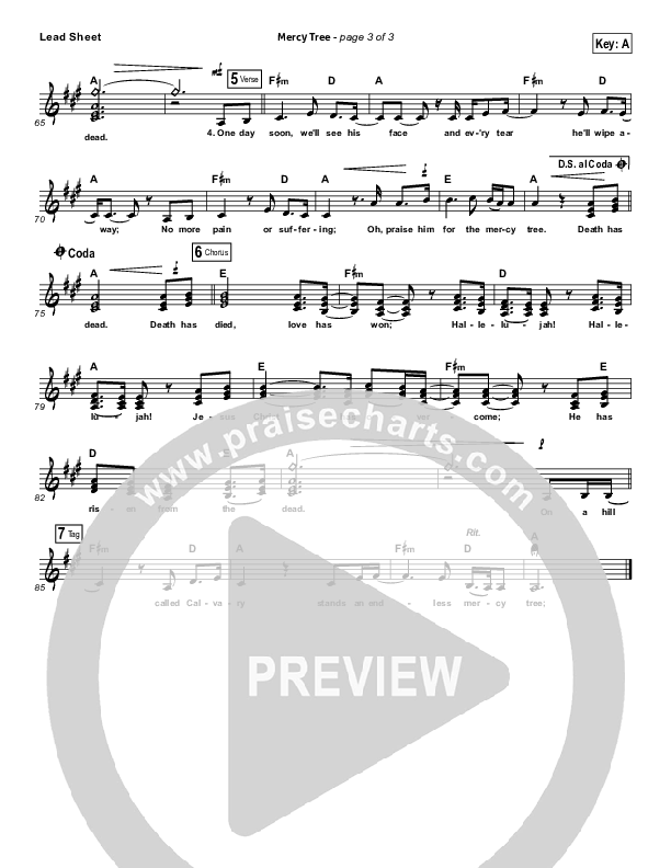 Mercy Tree Lead Sheet (SAT) (Lacey Sturm)