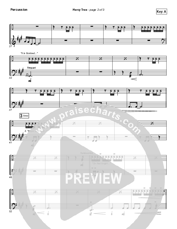 Mercy Tree Percussion (Lacey Sturm)