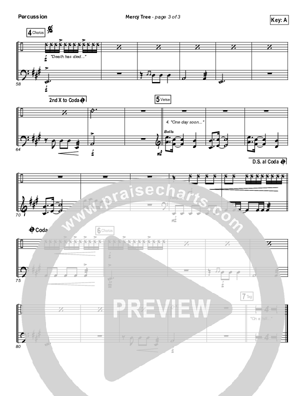 Mercy Tree Percussion (Lacey Sturm)