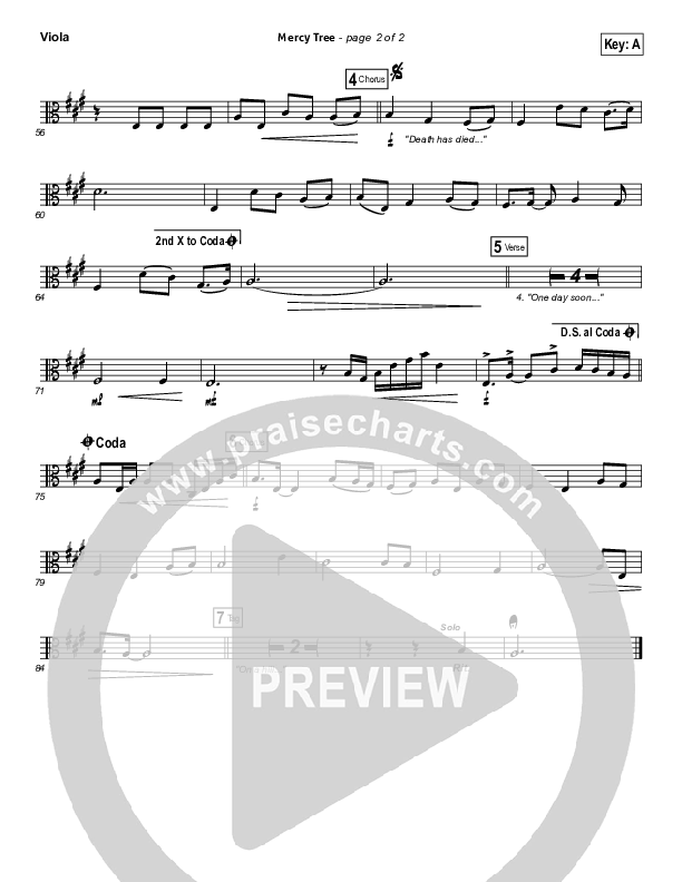 Mercy Tree Viola (Lacey Sturm)