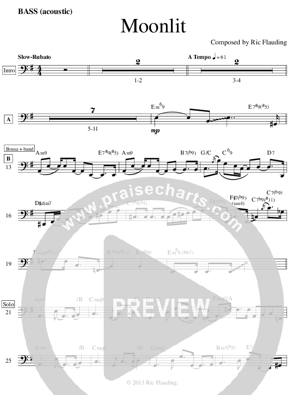 Moonlit (Instrumental) Bass Guitar (Ric Flauding)