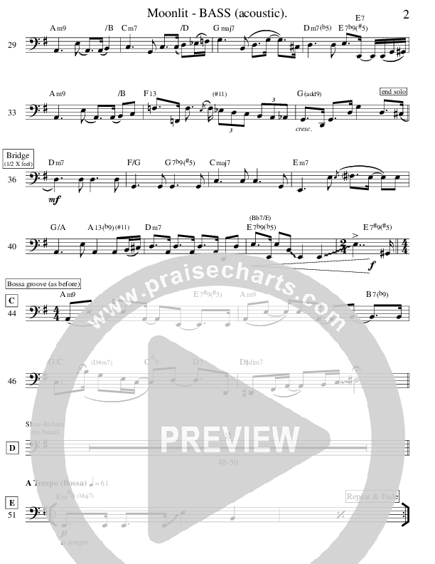 Moonlit (Instrumental) Bass Guitar (Ric Flauding)