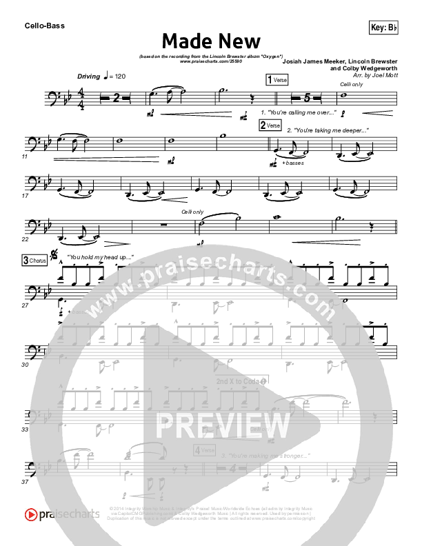 Made New Cello/Bass (Lincoln Brewster)