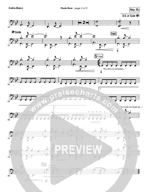 Made New Cello/Bass (Lincoln Brewster)