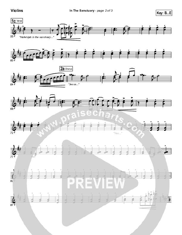 In The Sanctuary Violins (Travis Cottrell)