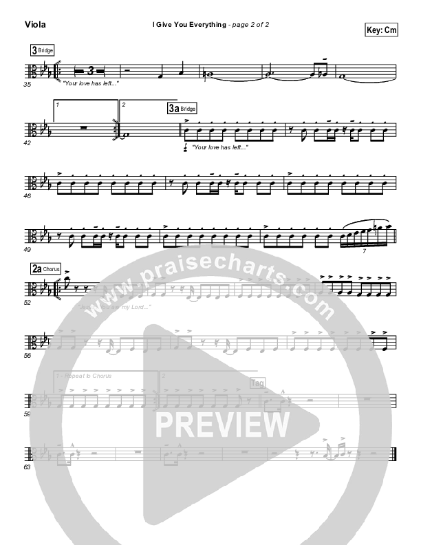 I Give You Everything Viola (Travis Cottrell)