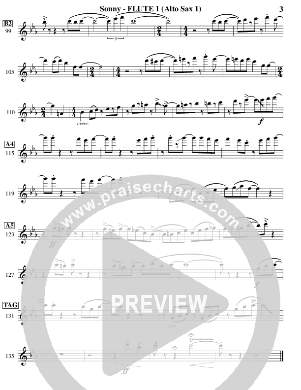 Sonny Flute 1/2 (Ric Flauding)