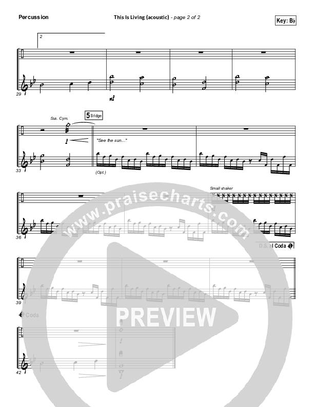 This Is Living  Percussion (Hillsong Young & Free)