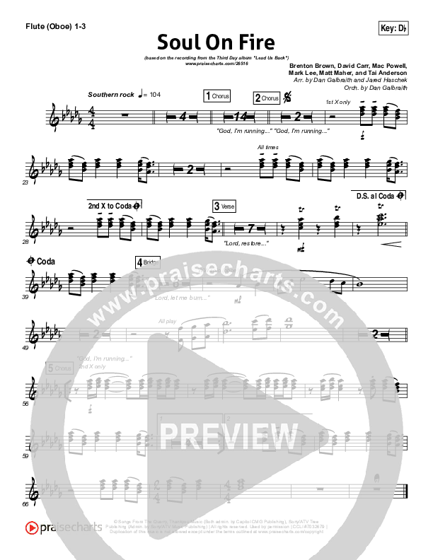 Soul On Fire Flute/Oboe 1/2/3 (Third Day)